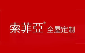 2017年最新的中國(guó)十大全屋定制品牌排行榜