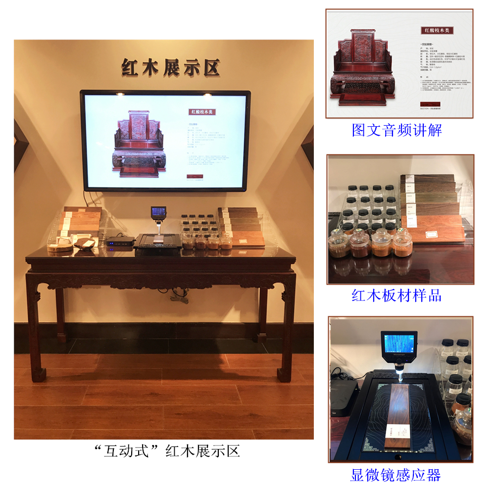 博覽千年紅木，再現(xiàn)百年家具！美聯(lián)紅木文史館全面升級(jí)！