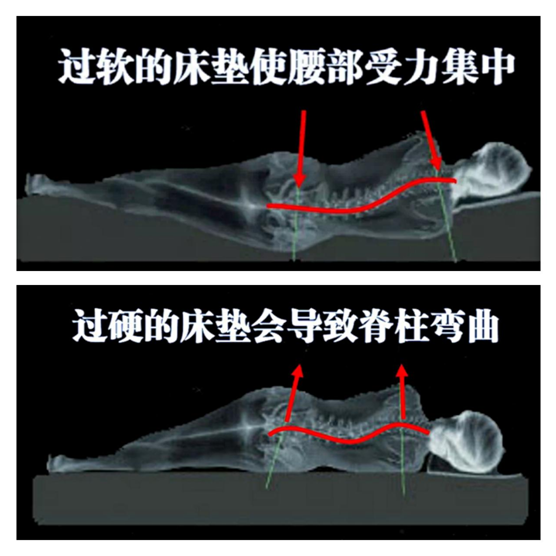 康麗萊：優(yōu)質(zhì)的睡眠從找到適合自己的床墊開始