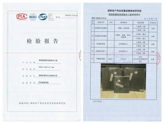 健康新主張 守護家的溫暖:萬象第三代豆基蛋白板材閃亮登場!